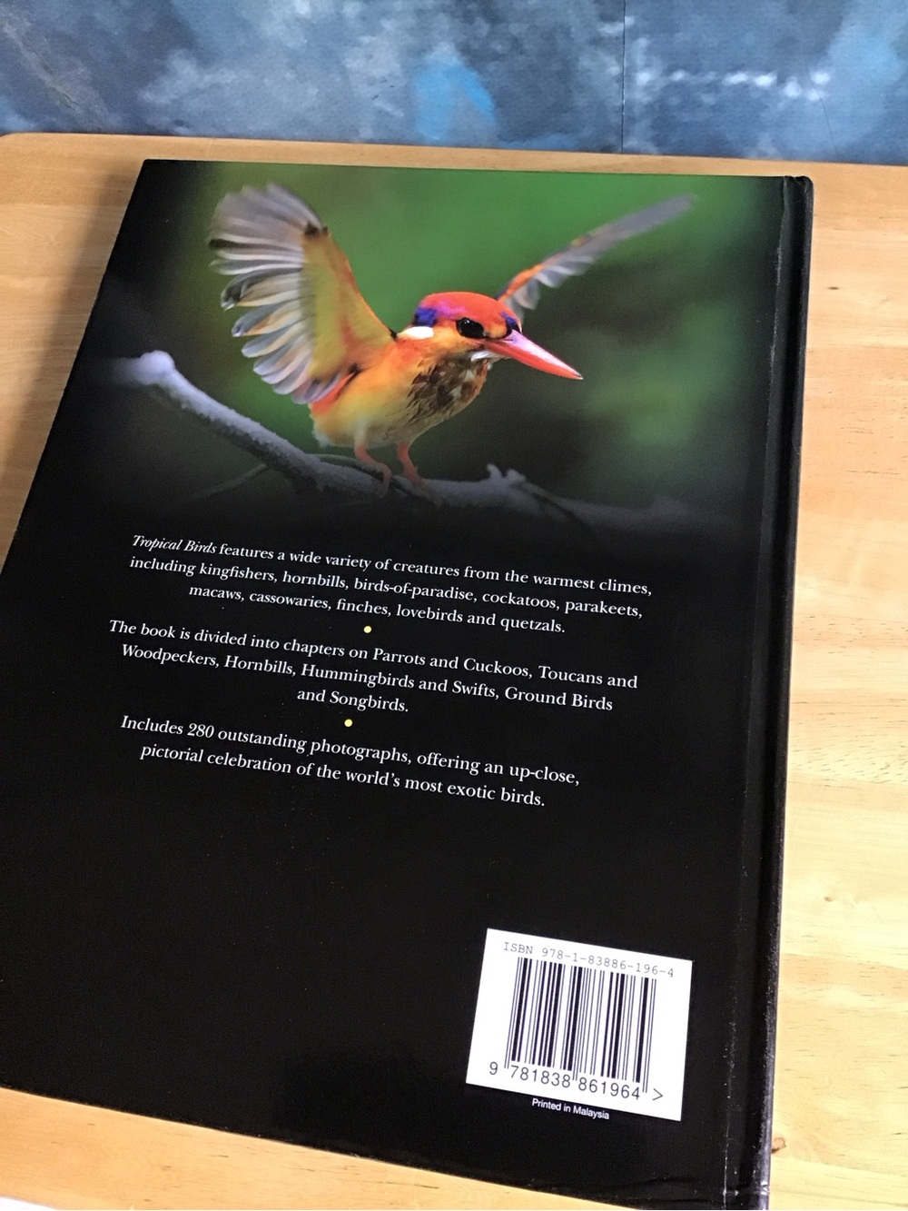 9” X 12” Tropical Birds 224 Page Hardcover Book - Most Pages are Photos of Birds - Picture 4 of 9